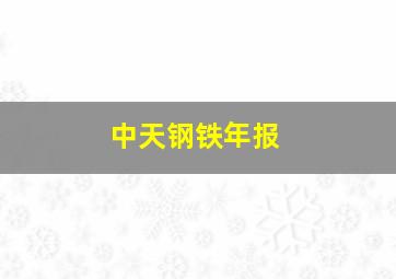 中天钢铁年报