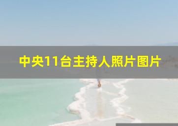 中央11台主持人照片图片