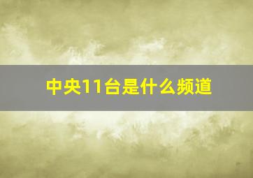 中央11台是什么频道