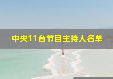 中央11台节目主持人名单