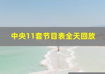 中央11套节目表全天回放