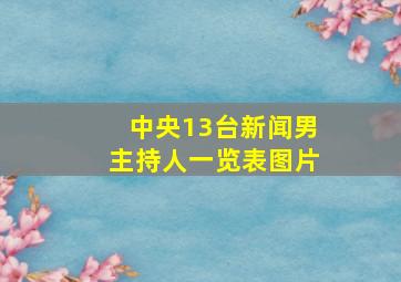 中央13台新闻男主持人一览表图片