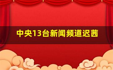 中央13台新闻频道迟茜