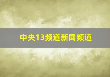 中央13频道新闻频道