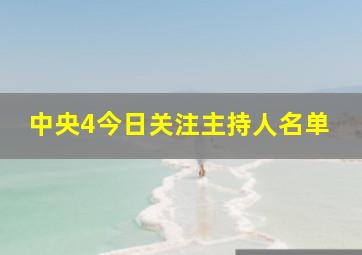 中央4今日关注主持人名单