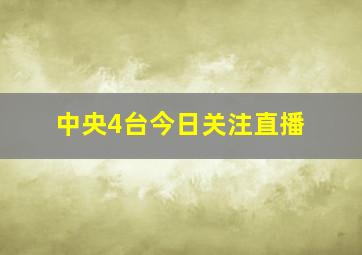 中央4台今日关注直播