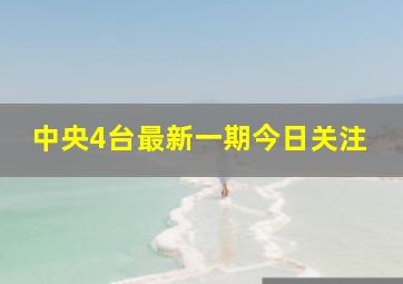 中央4台最新一期今日关注