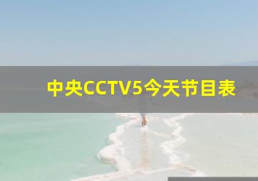 中央CCTV5今天节目表