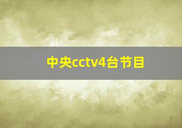 中央cctv4台节目