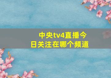 中央tv4直播今日关注在哪个频道