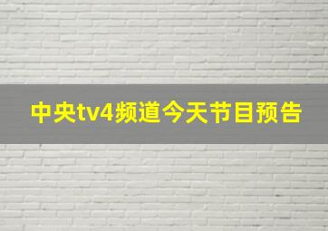 中央tv4频道今天节目预告