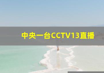 中央一台CCTV13直播