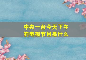 中央一台今天下午的电视节目是什么