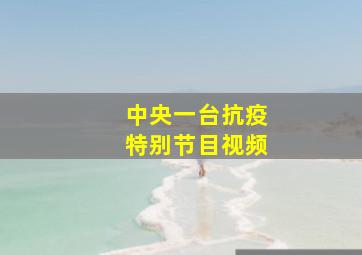 中央一台抗疫特别节目视频