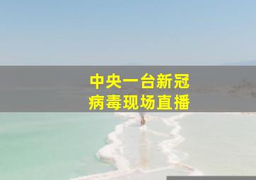 中央一台新冠病毒现场直播