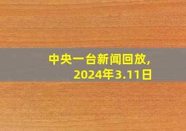 中央一台新闻回放,2024年3.11日