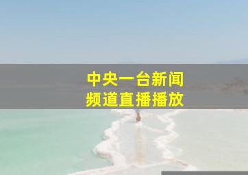 中央一台新闻频道直播播放