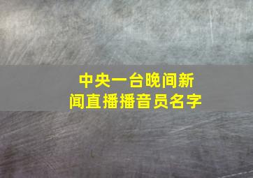 中央一台晚间新闻直播播音员名字