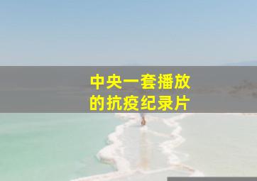 中央一套播放的抗疫纪录片