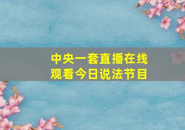 中央一套直播在线观看今日说法节目