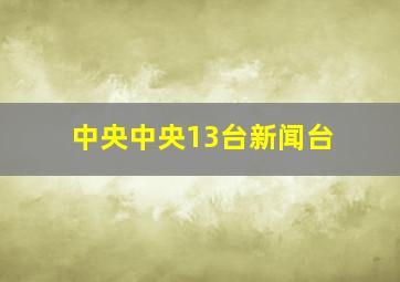 中央中央13台新闻台