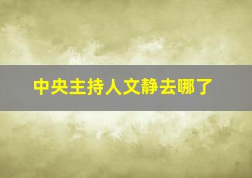 中央主持人文静去哪了