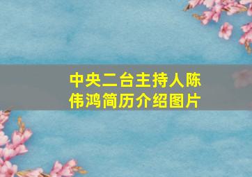 中央二台主持人陈伟鸿简历介绍图片