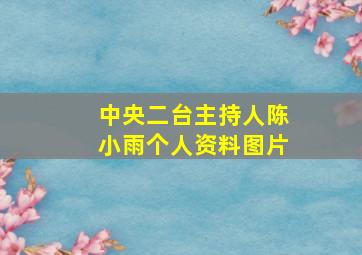 中央二台主持人陈小雨个人资料图片