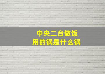 中央二台做饭用的锅是什么锅