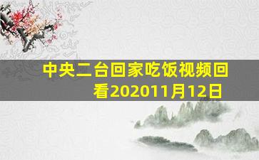 中央二台回家吃饭视频回看202011月12日