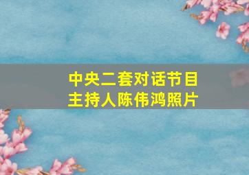 中央二套对话节目主持人陈伟鸿照片