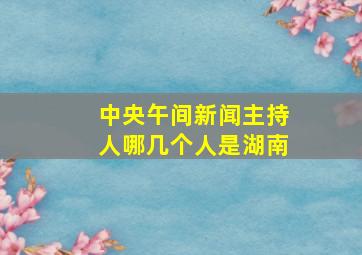 中央午间新闻主持人哪几个人是湖南