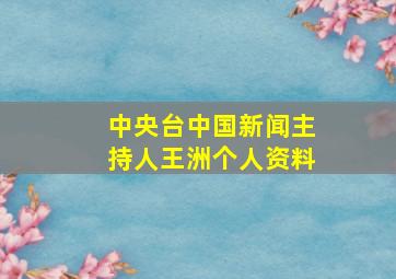 中央台中国新闻主持人王洲个人资料