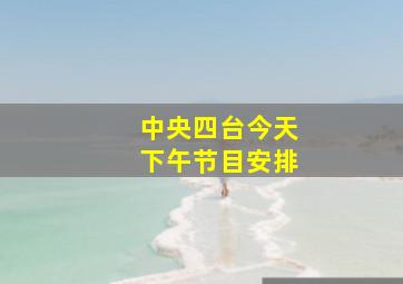 中央四台今天下午节目安排