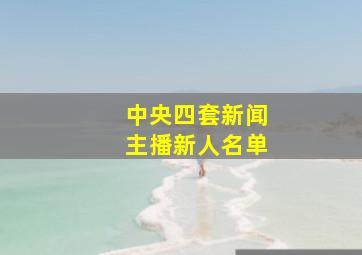 中央四套新闻主播新人名单