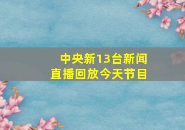 中央新13台新闻直播回放今天节目