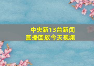 中央新13台新闻直播回放今天视频