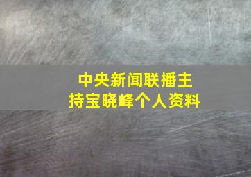 中央新闻联播主持宝晓峰个人资料