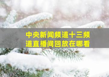 中央新闻频道十三频道直播间回放在哪看