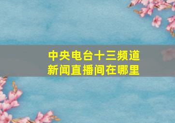 中央电台十三频道新闻直播间在哪里