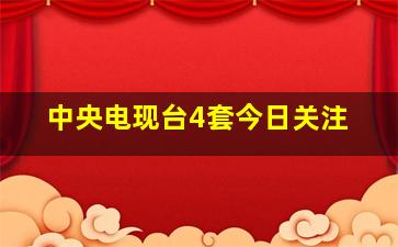 中央电现台4套今日关注