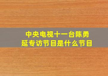 中央电视十一台陈勇延专访节目是什么节目