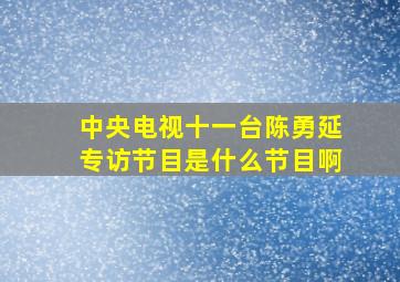 中央电视十一台陈勇延专访节目是什么节目啊