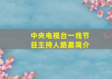 中央电视台一线节目主持人路晨简介