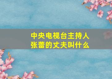 中央电视台主持人张蕾的丈夫叫什么