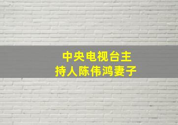 中央电视台主持人陈伟鸿妻子