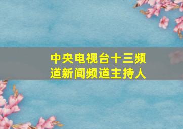 中央电视台十三频道新闻频道主持人