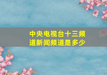 中央电视台十三频道新闻频道是多少