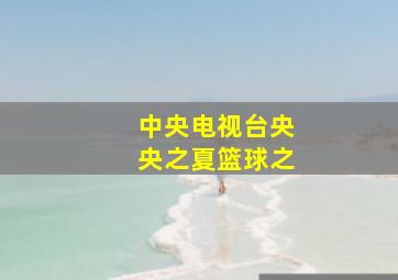 中央电视台央央之夏篮球之