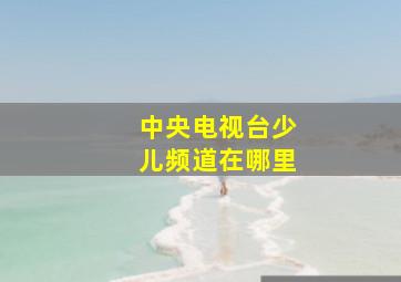 中央电视台少儿频道在哪里